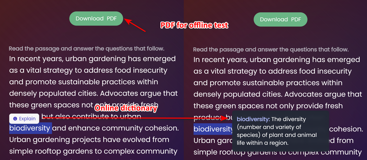 Offline PDF and online dictionary